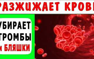 Что разжижает кровь и убирает тромбоз — продукты и народные средства