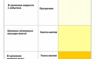 Какого цвета моча у здорового человека и какие факторы на это влияют