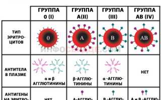 Может ли меняться группа крови?