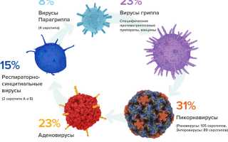 Вирусная пневмония: эпидемиология, признаки и течение, виды, диагностика, как лечить