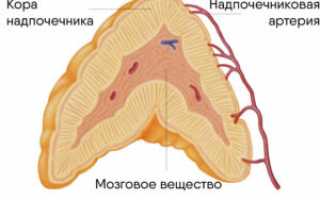 Как развивается дисфункция коры надпочечников, симптомы и способы лечения заболевания