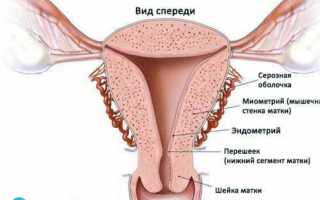 Особенности удаления матки и придатков лапароскопическим методом