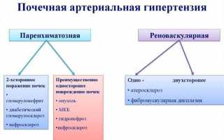 Виды почечной гипертензии: причины и лечение заболевания