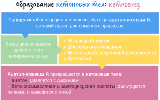 Кетонурия при беременности — веский повод обратится к врачу за помощью