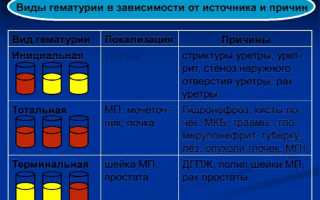 Повышенные эритроциты в моче при беременности: норма и причины увеличения их количества