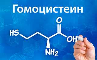 Анализ на гомоцистеин во время беременности