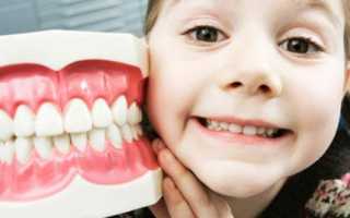 Сколько молочных и постоянных зубов должно быть у детей, количество в норме у детей по возрасту