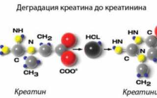 Что такое клиренс креатинина и как его расчитать