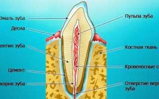 Удаление зубного нерва: как и в каких случаях удаляют, последствия