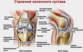 Что показывает УЗИ коленных суставов: показания, подготовка, описание, заключение, цена