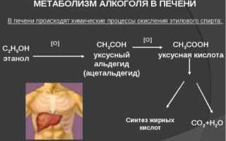 Как избавиться от запаха перегара изо рта быстро в домашних условиях: эффективные средства и таблетки