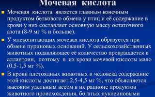 Недостаток аммония в моче может грозить повышенным риском смерти пациентам с почечными проблемами