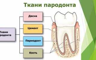 Как укрепить десна если шатаются коренные зубы в домашних условиях