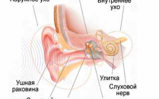 Нарушения слуха: причины, формы, признаки, диагностика, лечение, профилактика