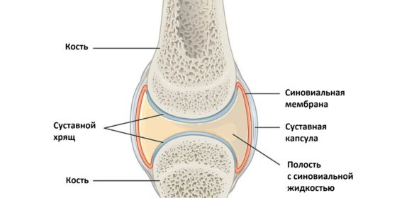 Гиалуроновая кислота входит в состав синовиальной жидкости