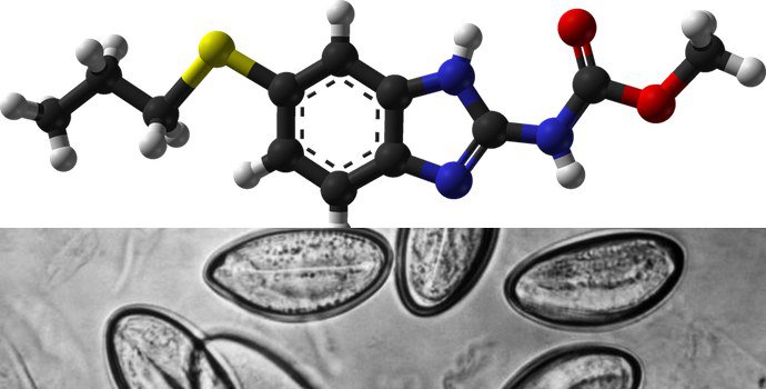 Гельминты и Альбендазол