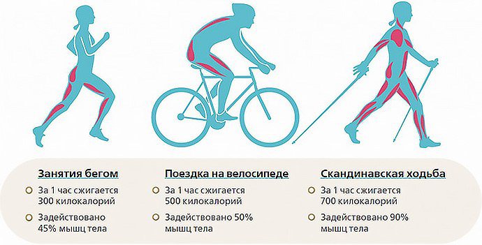 польза от физических нагрузок